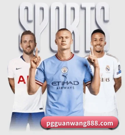 PG官网的故事